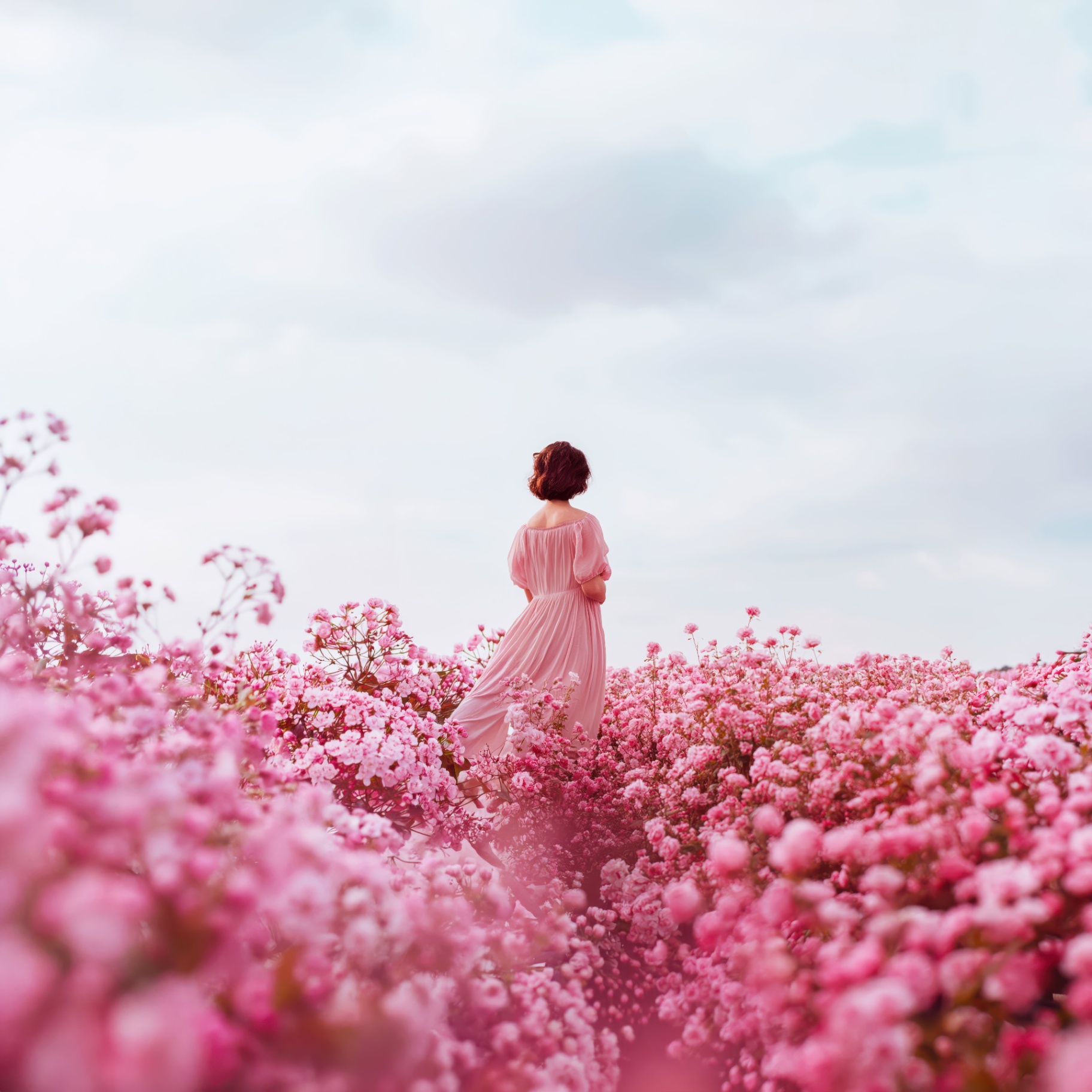 Woman in a pink dress walking through a field of blossoms under soft cloud